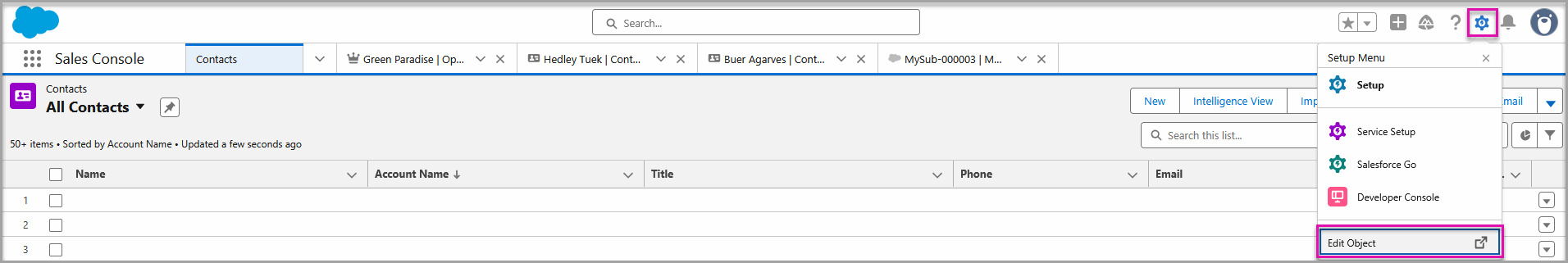 Salesforce object page showing the Edit Object option from the gear menu.
