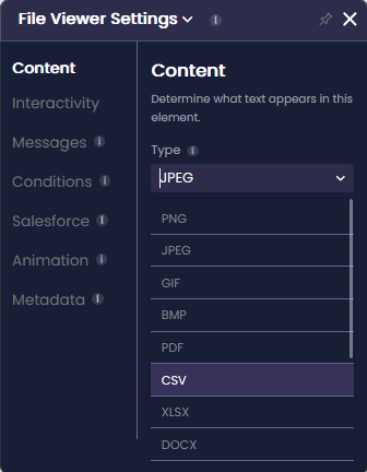 File Viewer Settings panel open on the Content tab. The Type drop-down list is expanded with file type options including PNG, JPEG, GIF, BMP, PDF, CSV, XLSX, and DOCX.
