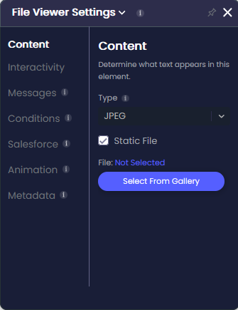 File Viewer Settings panel open on the Content tab. Static File is selected, the file status shows Not Selected, and the Select From Gallery button is visible.