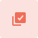 orange tick box icon