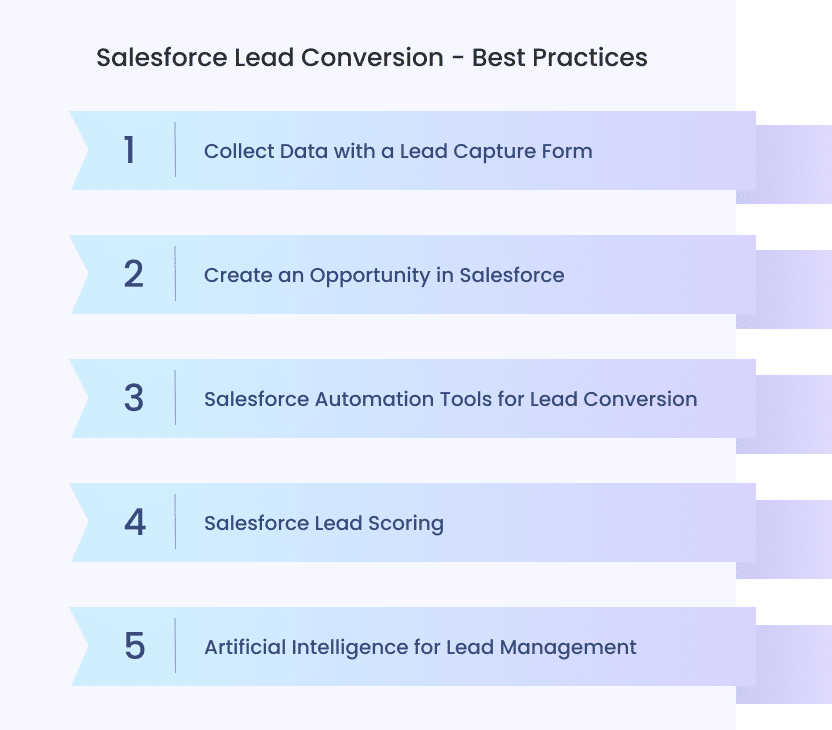 Salesforce Lead Conversion