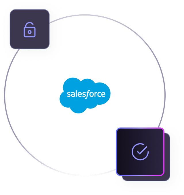 Secure data within Salesforce