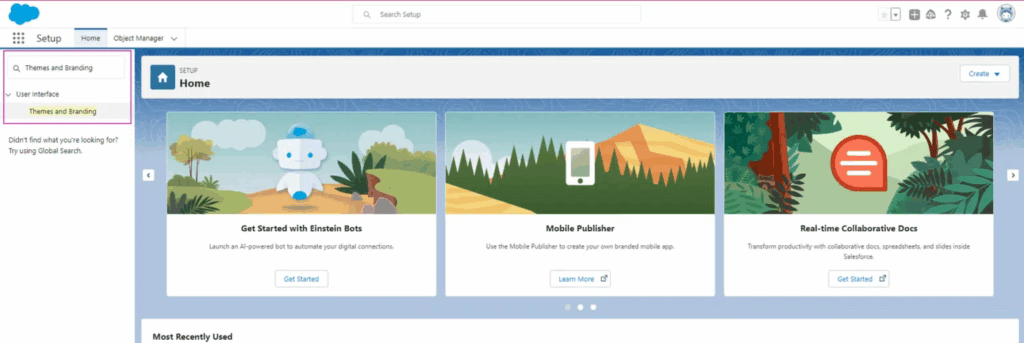 Find Salesforce Themes