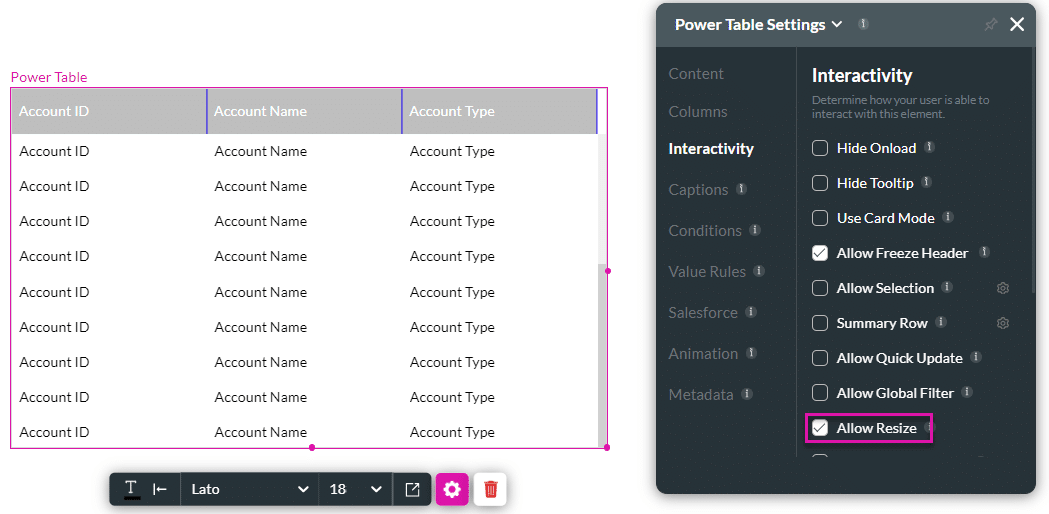Allow Resize checkbox enabled