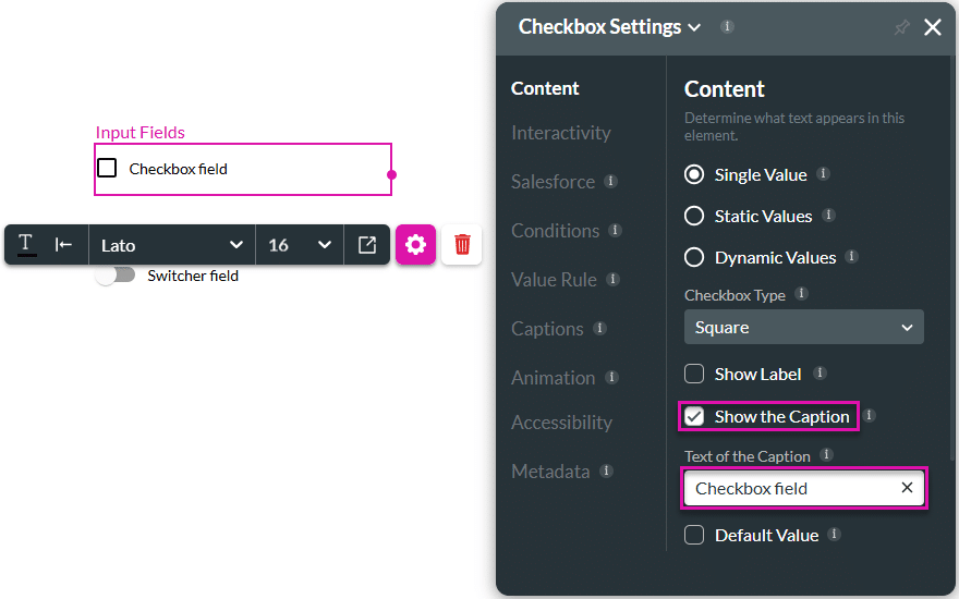 Show the Caption checkbox