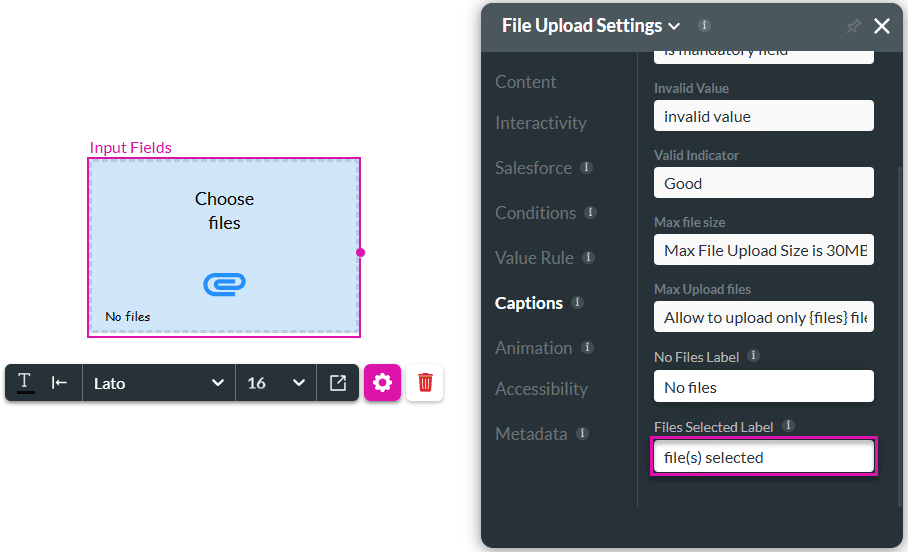Files Selected Label caption