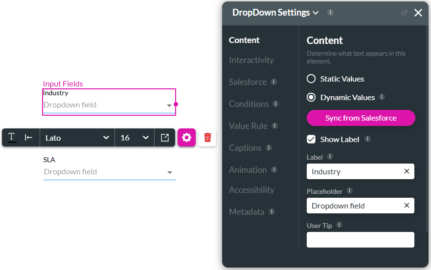 Dynamic values from Salesforce