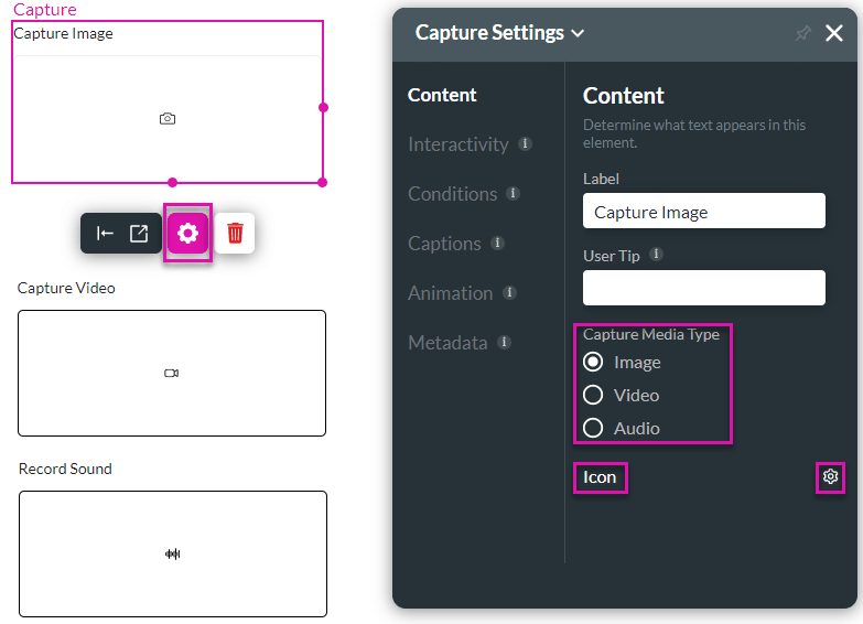 Capture Widget Settings