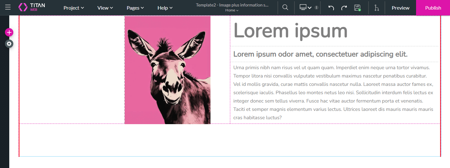 Template project opened