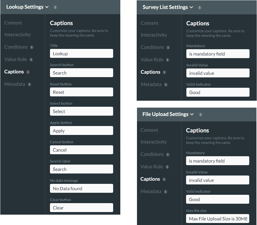 Captions Settings For Different Question Types