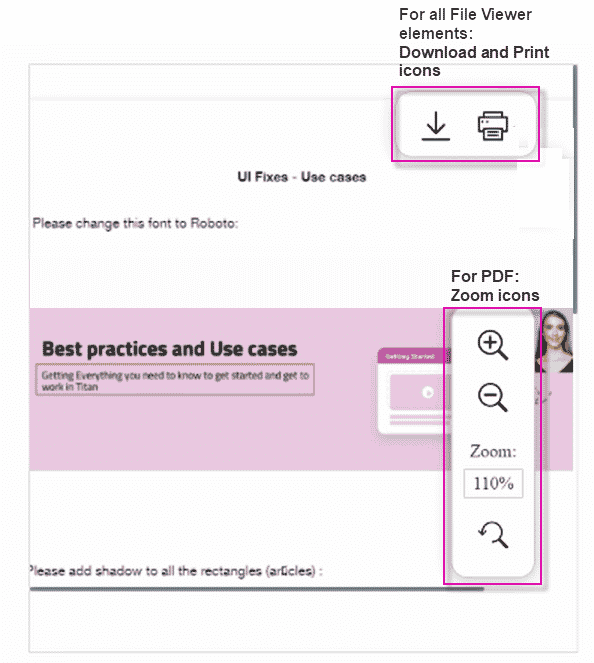 Print, Download and Zoom icons (example)